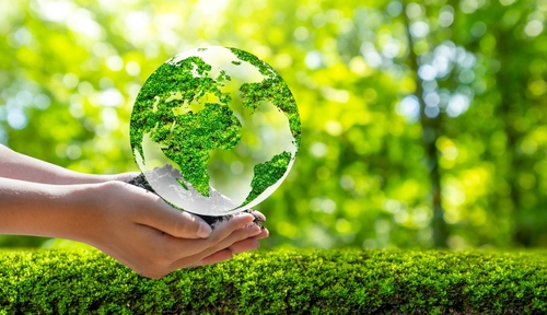 دورنا في حماية الأرض